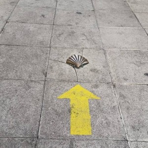 17108_10153239722359827_1280540707788000362_n